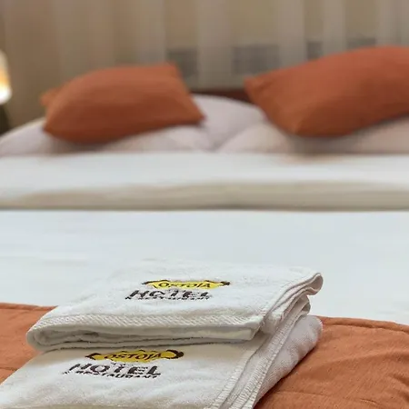 Ostoja